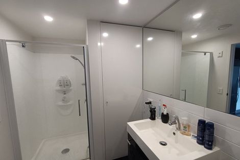 Photo of property in Nouvo Apartments, 4c/21 Rugby Street, Mount Cook, Wellington, 6021