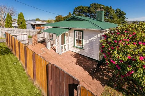 Photo of property in 47 Newington Road, Henderson, Auckland, 0612