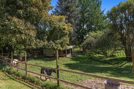 Photo of property in 113 Hogg Road, Rotoma, Whakatane, 3192