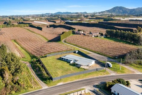 Photo of property in 42 Macloughlin Drive, Te Puke, 3119