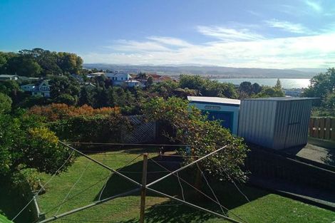 Photo of property in 18 Selwyn Road, Hospital Hill, Napier, 4110