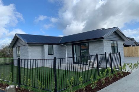 Photo of property in 23u2 Ross Crescent, Fairfield, Hamilton, 3214