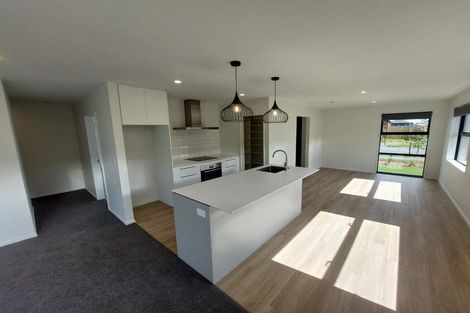 Photo of property in 14 John Gibb Street, Belfast, 8051
