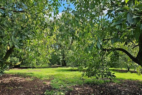 Photo of property in 526d Belk Road, Omanawa, Tauranga, 3171