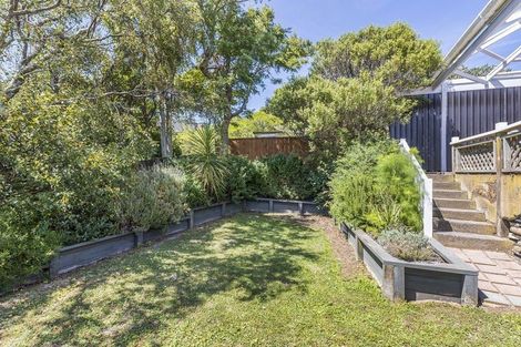 Photo of property in 141 Daniell Street, Newtown, Wellington, 6021