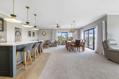 Photo of property in 342 Manutahi Road, Lepperton, New Plymouth, 4372