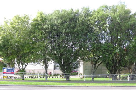 Photo of property in 257b Maungatapu Road, Maungatapu, Tauranga, 3112