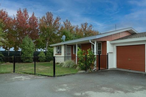 Photo of property in 3/23 Francis Street, Blenheim, 7201