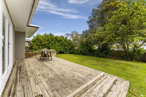 Photo of property in 117 Rugby Street, Awapuni, Palmerston North, 4412