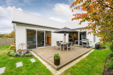 Photo of property in 5 Heritage Place, Terrace End, Palmerston North, 4410