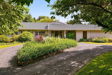 Photo of property in 854 No 1 Road, Te Puke, 3182