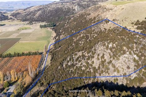 Photo of property in 132 Willowbank Road, Queensberry, Cromwell, 9383