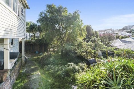 Photo of property in 129 Daniell Street, Newtown, Wellington, 6021