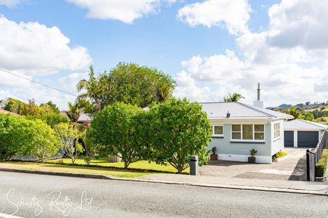 Photo of property in 25 Whaka Street, Maungaturoto, 0520
