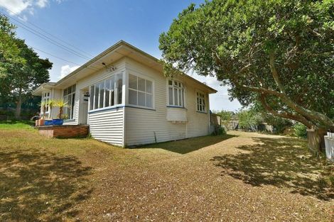 Photo of property in 21 Rimu Street, Helensville, 0800