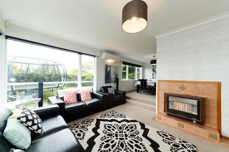 Photo of property in 68 Pitama Road, Awapuni, Palmerston North, 4412