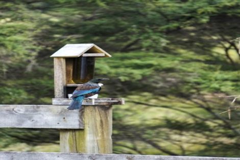 Photo of property in 561b Waingaro Road, Ngaruawahia, 3793