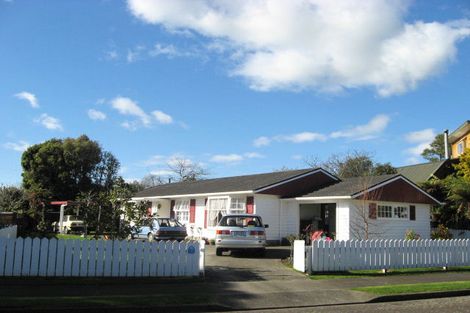 Photo of property in 3 Halsey Street, Levin, 5510