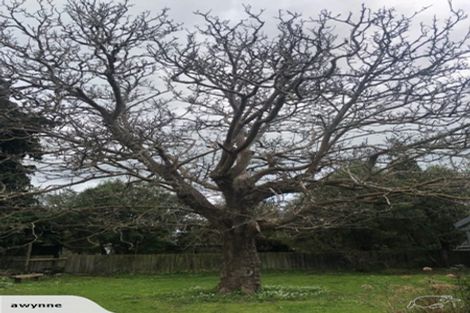 Photo of property in 20 Main Street, Greytown, 5712