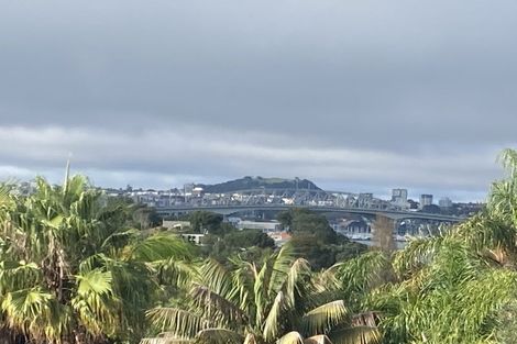 Photo of property in 14 Bush View Lane, Northcote Point, Auckland, 0627