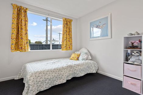 Photo of property in 36 Lagan Street, Belfast, Christchurch, 8051