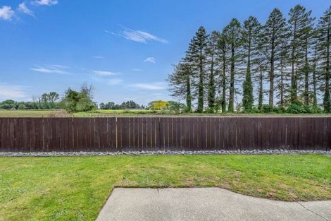 Photo of property in 14b Titoki Place, Edgecumbe, 3120