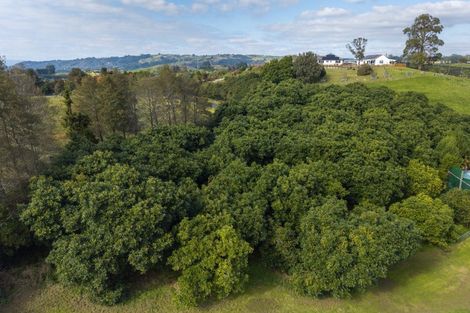 Photo of property in 143 Youngson Road, Whakamarama, Tauranga, 3179