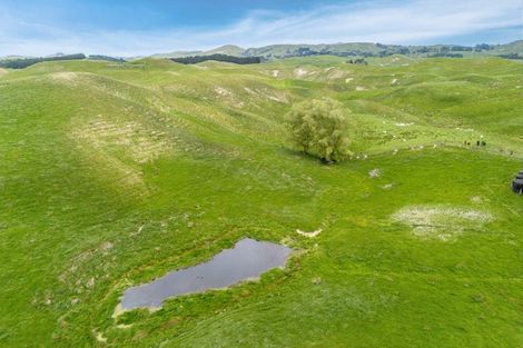 Photo of property in 209 Pattison Road, Akina, Hastings, 4122