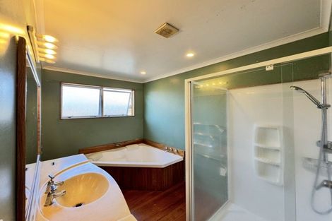 Photo of property in 313 Ruahine Street, Terrace End, Palmerston North, 4410