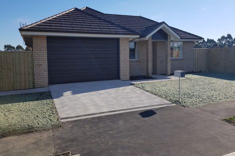 Photo of property in 24 Reuben Avenue, Rolleston, 7615