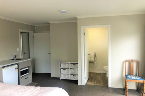 Photo of property in 29u1 Seddon Road, Frankton, Hamilton, 3204