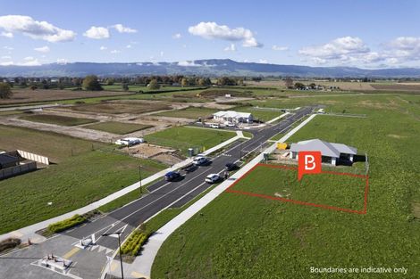 Photo of property in 50 Tokotoko Parade, Matamata, 3400