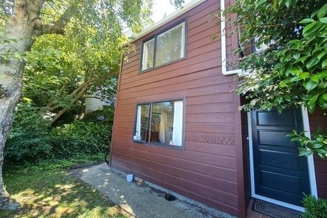 Photo of property in 10/85u Elizabeth Street, Mount Victoria, Wellington, 6011
