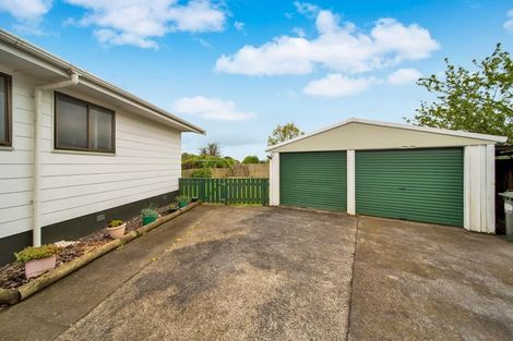 Photo of property in 12 Exeter Street, Stratford, 4332