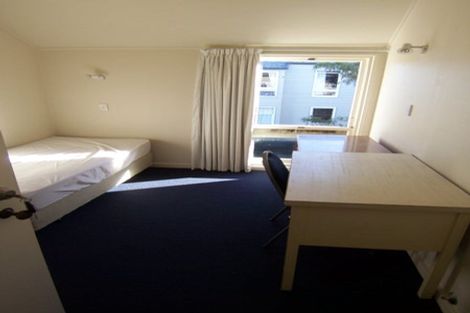 Photo of property in 33a Thompson Street, Mount Cook, Wellington, 6011