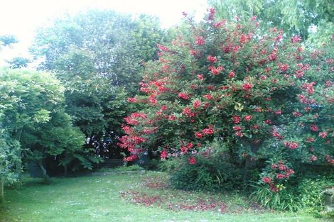 Photo of property in 22 Rayner Road, Huntly, 3700