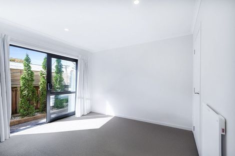 Photo of property in 18u2 Hunter Street, Hamilton Lake, Hamilton, 3204