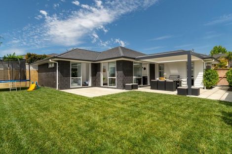 Photo of property in 20 Kinmount Drive, Pyes Pa, Tauranga, 3112