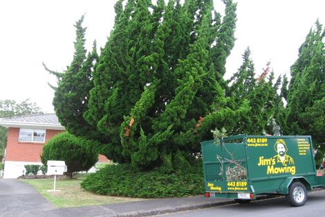 Photo of property in 6 Munstead Place, Hillcrest, Auckland, 0627