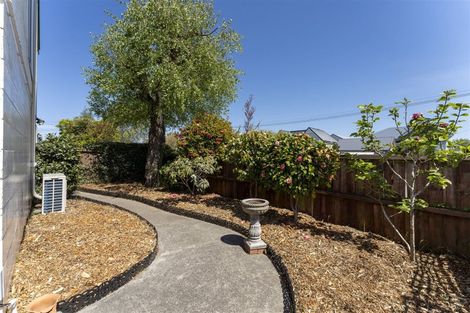 Photo of property in 1/182 Geraldine Street, Edgeware, Christchurch, 8013