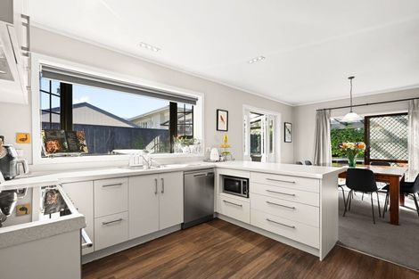 Photo of property in 33a Carey Street, Maeroa, Hamilton, 3200