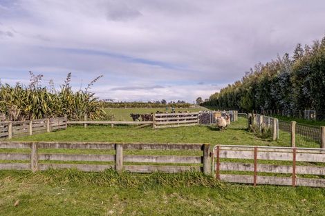 Photo of property in 201 Hollands Road, Tinwald, Ashburton, 7771