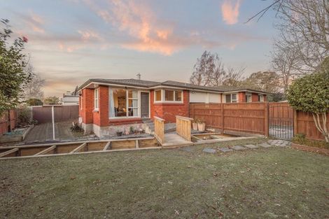 Photo of property in 24 Scotston Avenue, St Albans, Christchurch, 8052