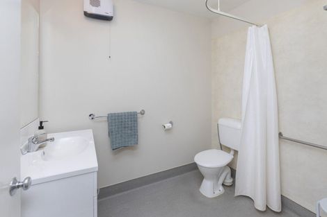Photo of property in 38 Opawa Road, Waltham, Christchurch, 8023