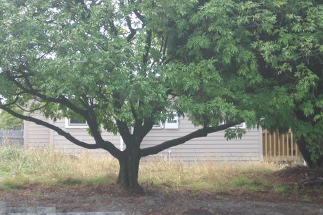 Photo of property in 3 Rimu Street, New Lynn, Auckland, 0600