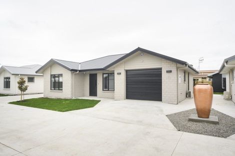 Photo of property in Woodlands Villas, 17a Sherwill Street East, Feilding, 4702