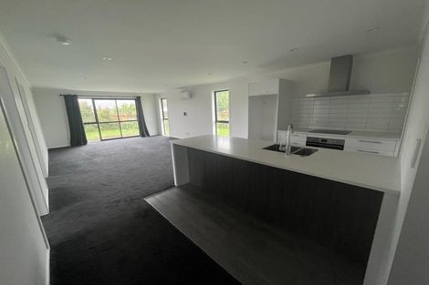 Photo of property in 68 Hinemoa Street, Levin, 5510