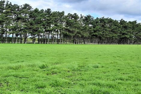 Photo of property in 157 Motuiti Road, Foxton, 4891