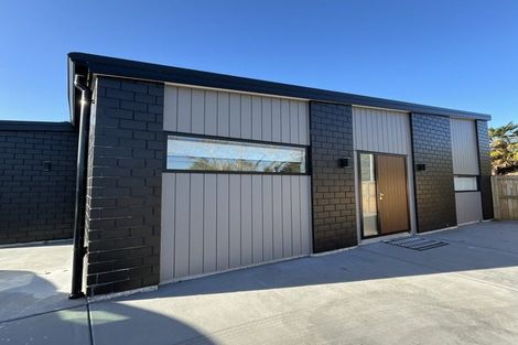 Photo of property in 28 Sussex Street, Levin, 5510