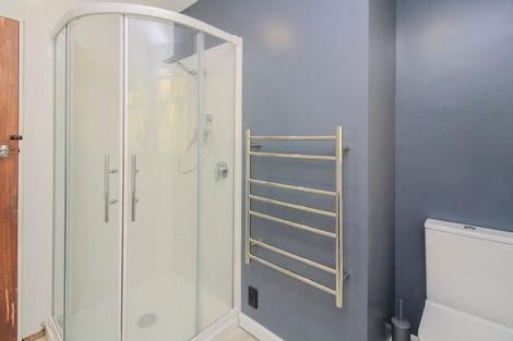 Photo of property in 22f1 Mccoll Street, Vogeltown, Wellington, 6021